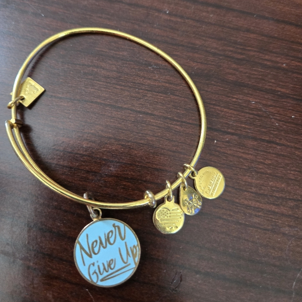 Alex and Ani Gold and Blue Adjustable Charm Bracelets